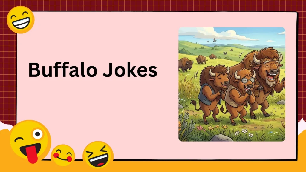 Buffalo Jokes